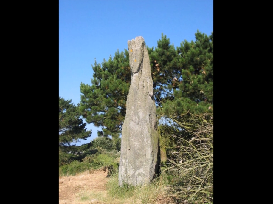 Arrêt 12
